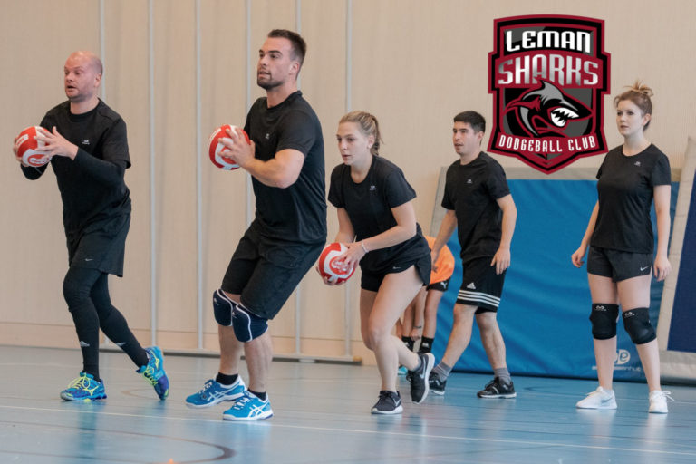 Bilan 2018 Dodgeball FSD Sharks